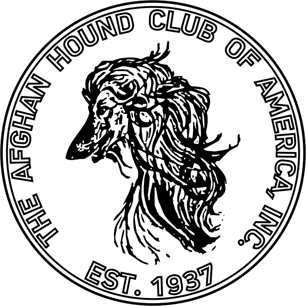 DocHub Dashboard