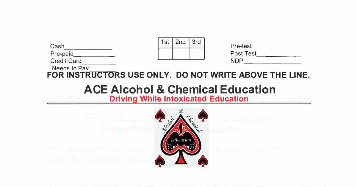 ACE DWI Education Program Registration Form pdf DocHub