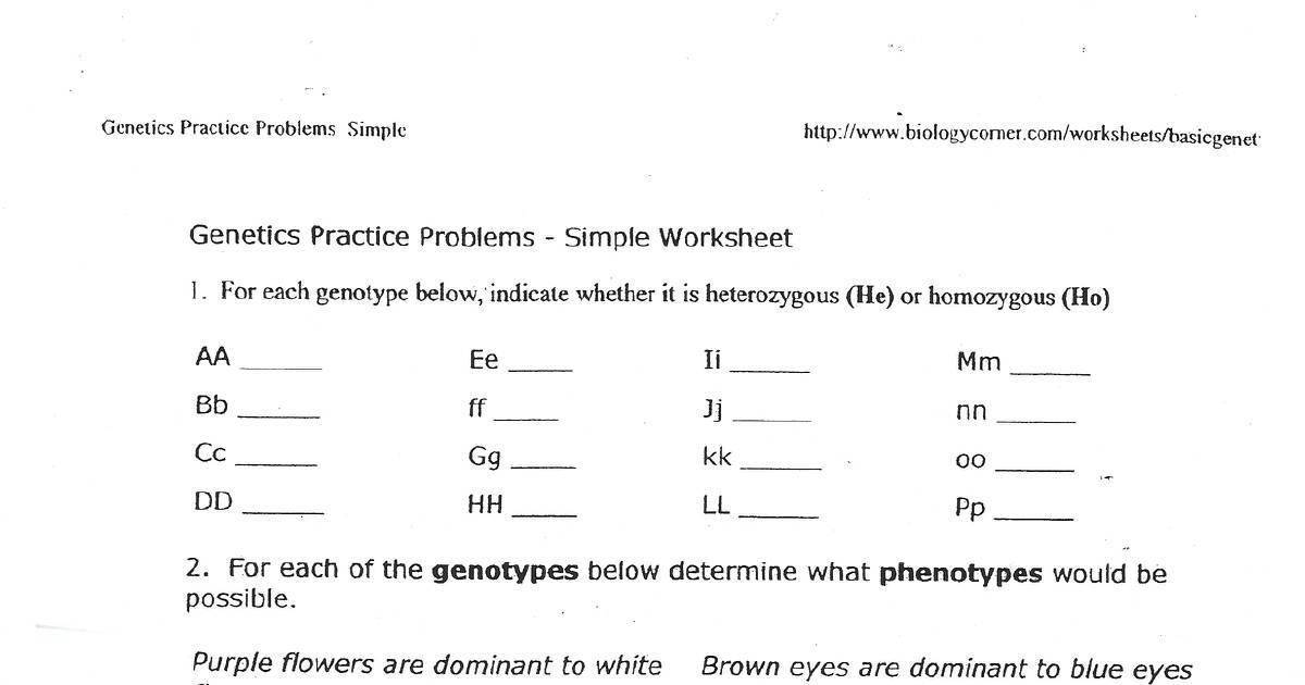 genetics made easy pdf