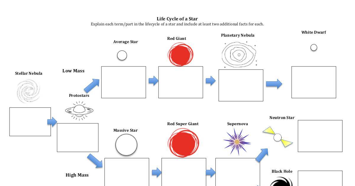 Life Cycle of a Star | DocHub