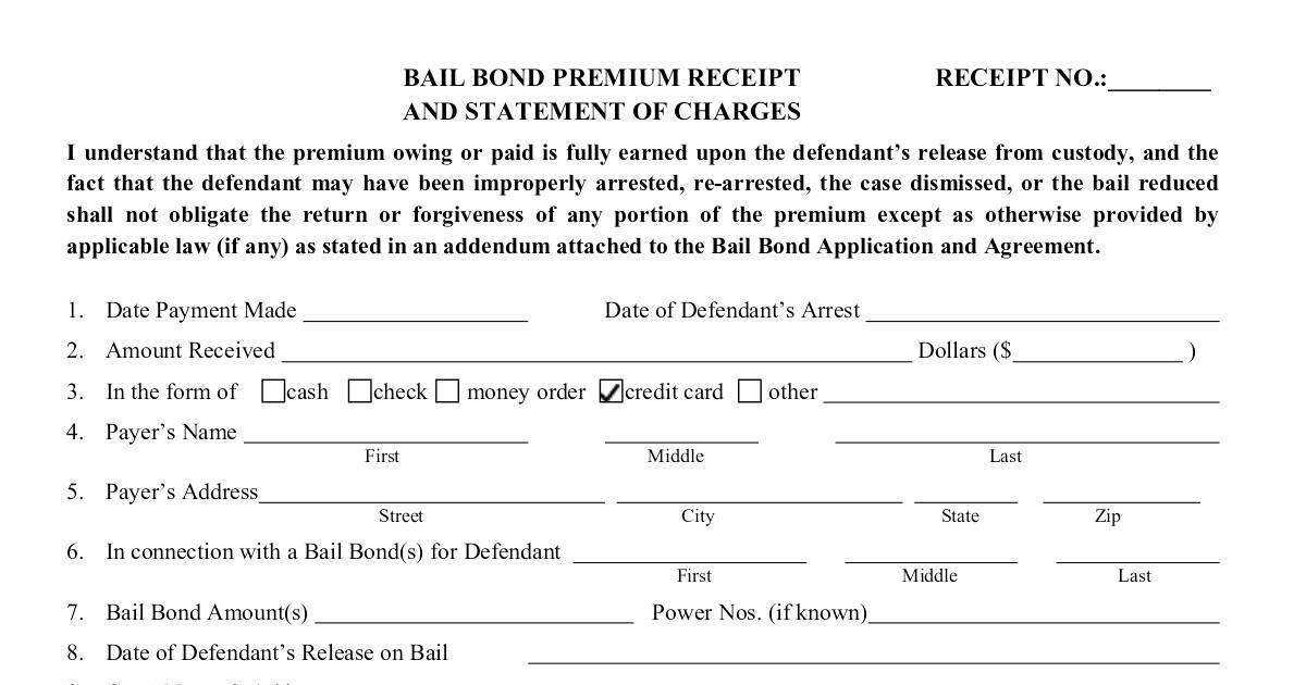 bail-receipt-pdf-dochub
