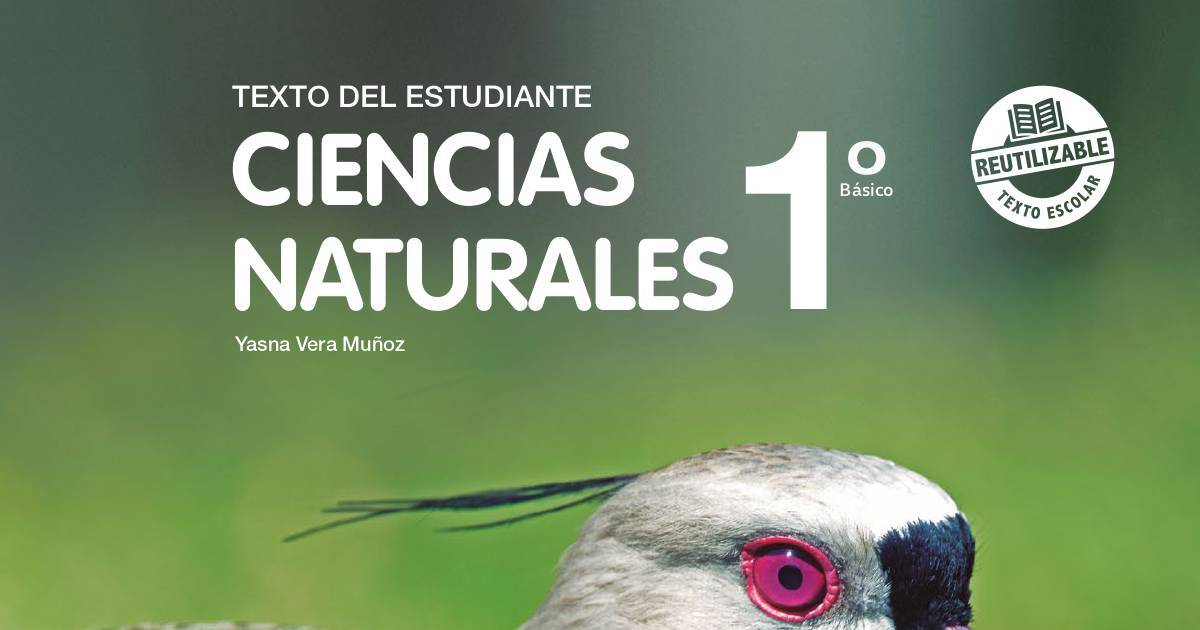 Textoescolar Muestra Libro Ciencias Naturales Basico Pdf Dochub Hot Sex Picture