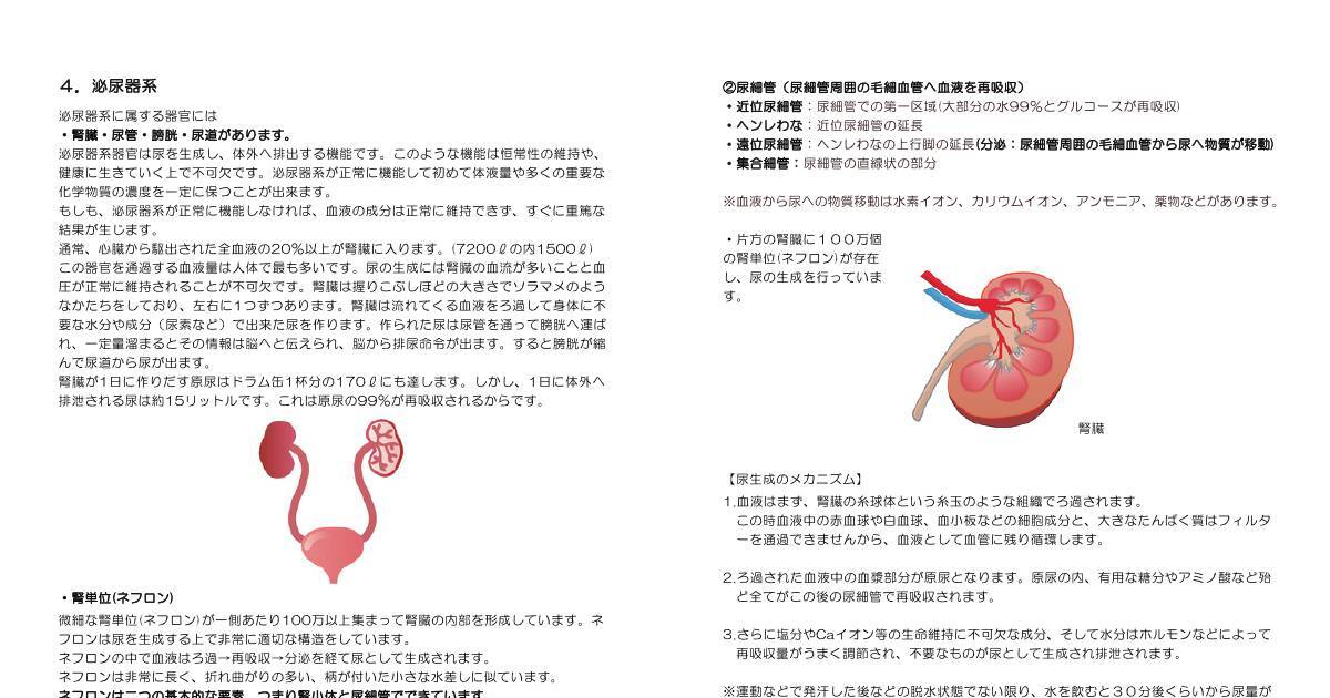 生理解剖学p25p26 Pdf Dochub