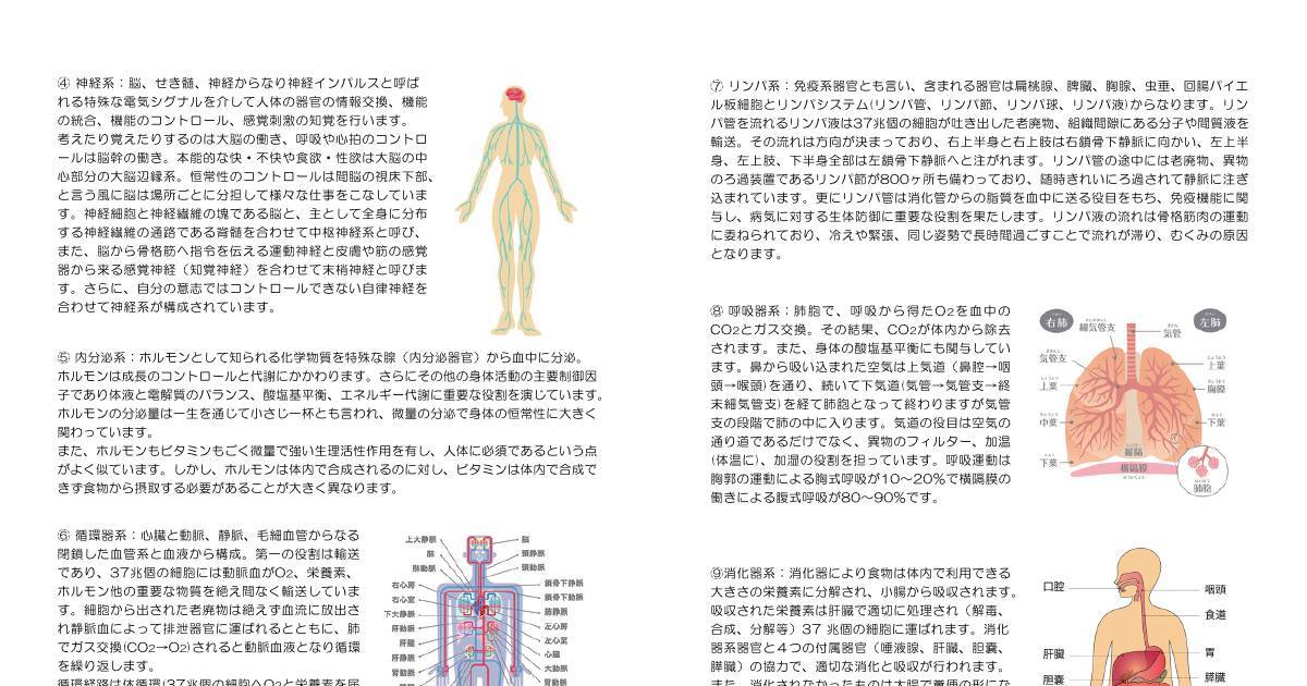 生理解剖学p15p16 Pdf Dochub