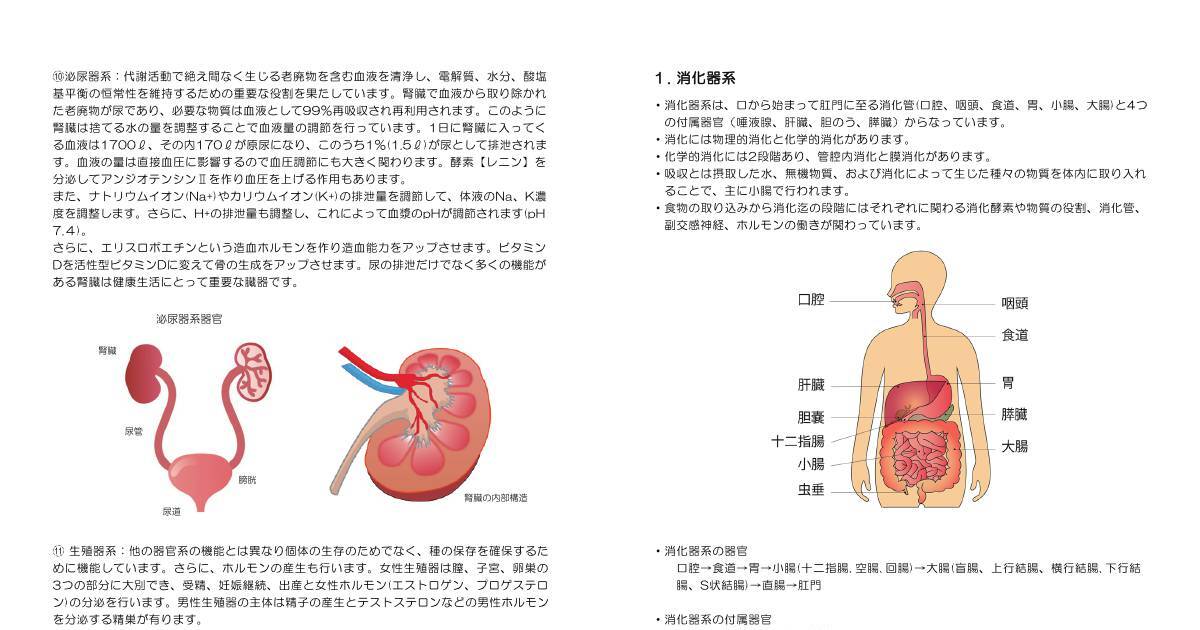 生理解剖学p17p18 Pdf Dochub